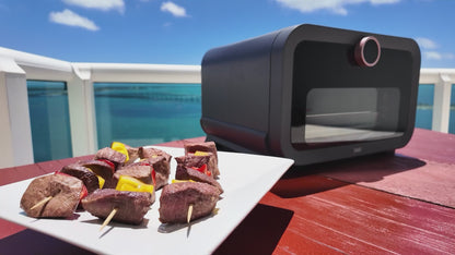 Touch IQ Indoor/Outdoor Air Fryer Pizza Oven